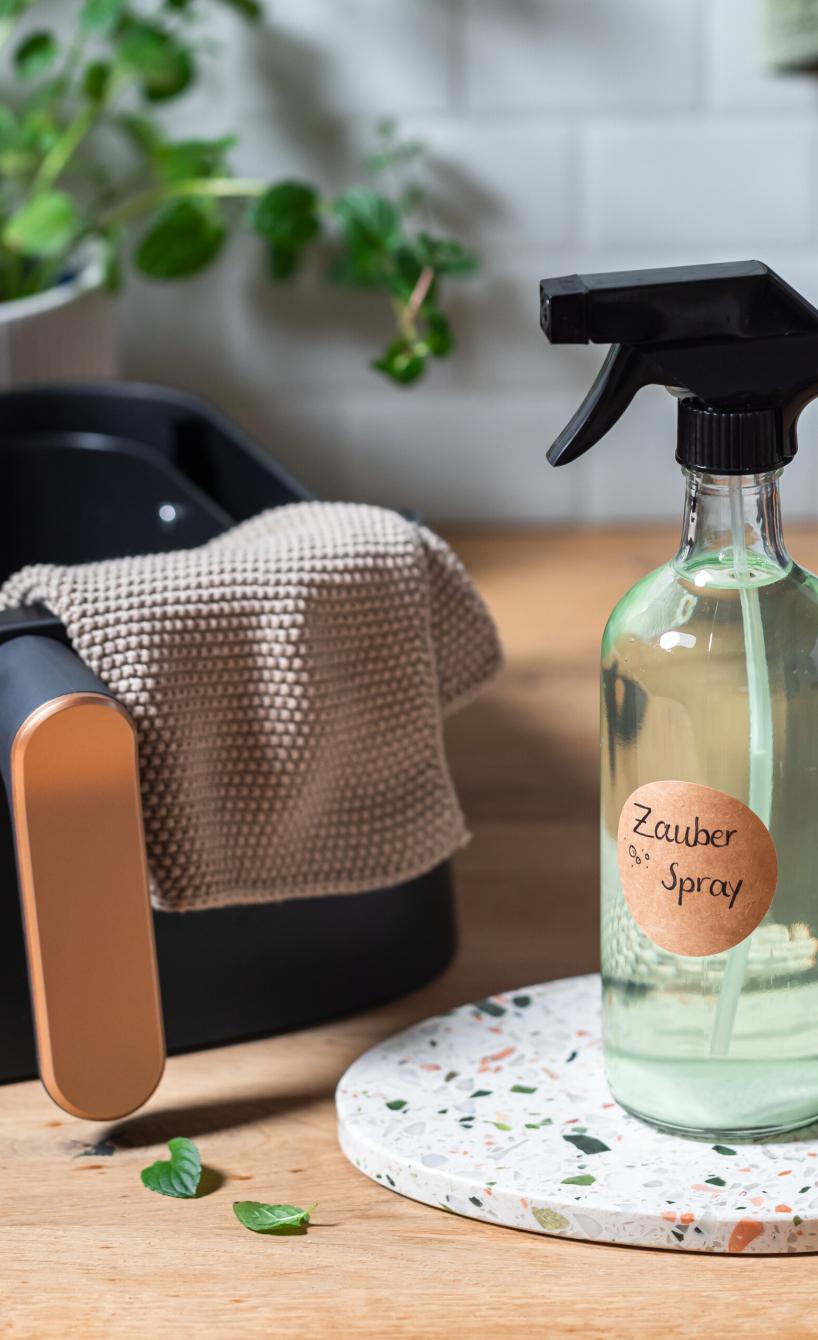 ZauberSpray Reinigungsmittel fĂŒr Airfryer